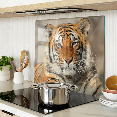 Tábua para corte Um tigre em seu estado natural