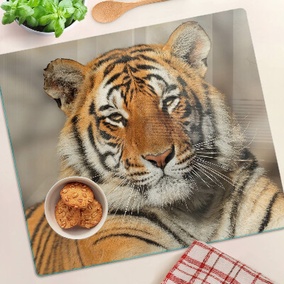 Tábua para corte Um tigre em seu estado natural