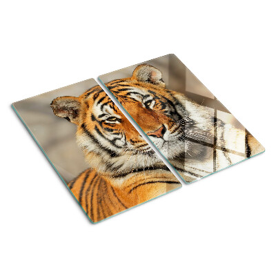 Tábua para corte Um tigre em seu estado natural