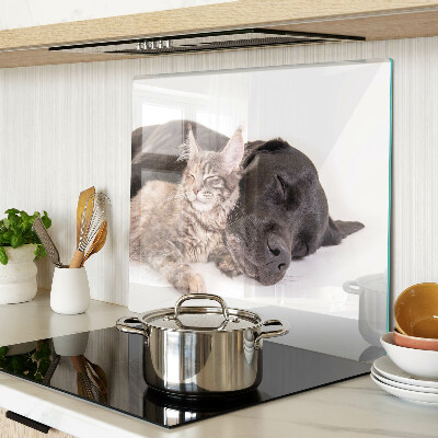 Tábua para corte Gato e cachorro dormindo juntos