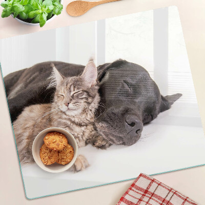 Tábua para corte Gato e cachorro dormindo juntos