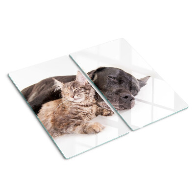 Tábua para corte Gato e cachorro dormindo juntos