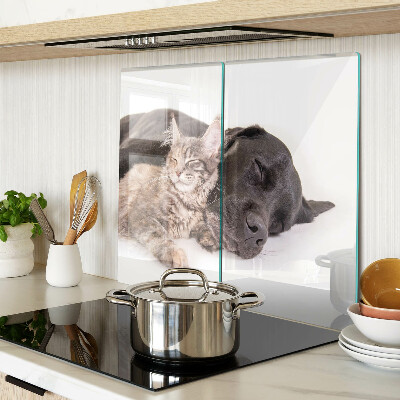 Tábua para corte Gato e cachorro dormindo juntos