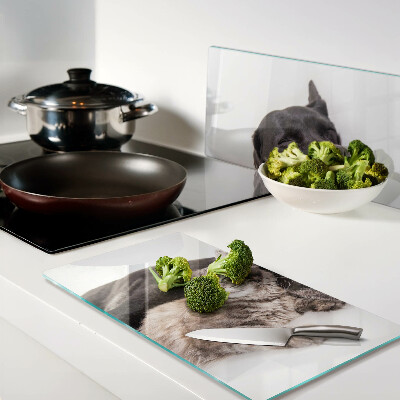 Tábua para corte Gato e cachorro dormindo juntos