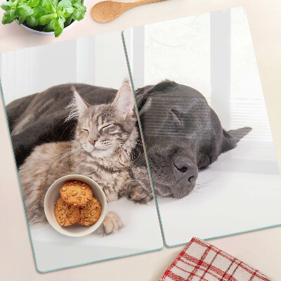 Tábua para corte Gato e cachorro dormindo juntos