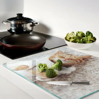 Tábua para corte Gatinho fofo com um suéter