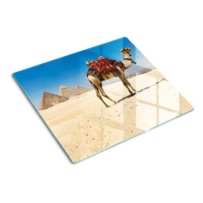 Tábua para cozinha Pirâmides e um camelo no deserto