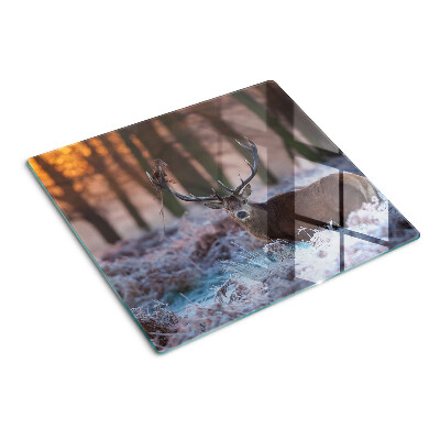 Tábua para corte Veados na floresta de inverno