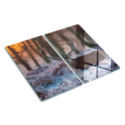 Tábua para corte Veados na floresta de inverno