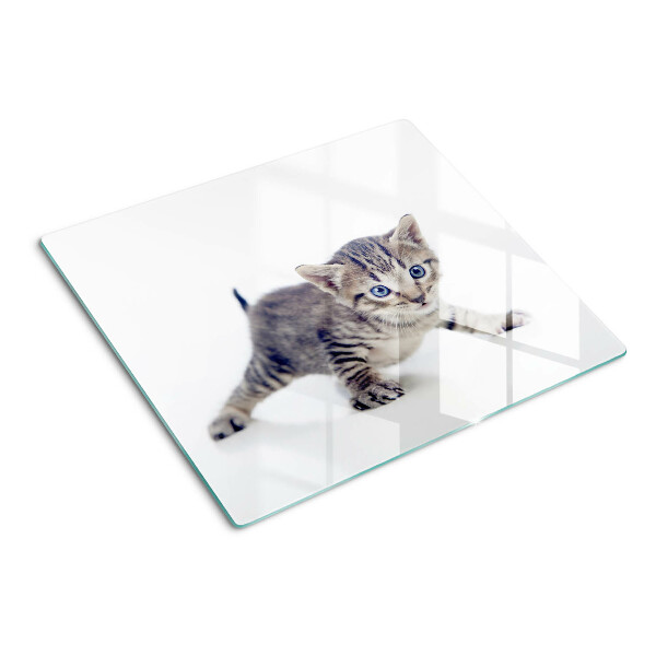 Tábua para cozinha Gatinho com olhos azuis