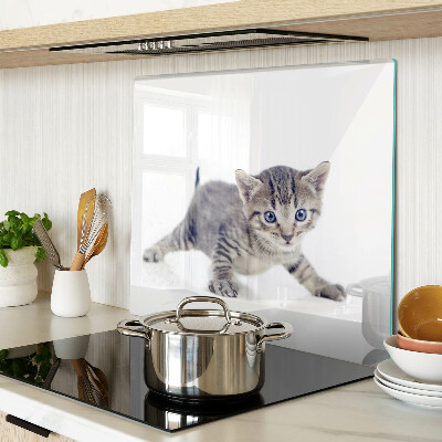 Tábua para cozinha Gatinho com olhos azuis