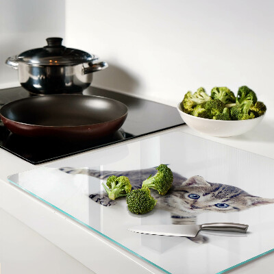 Tábua para cozinha Gatinho com olhos azuis