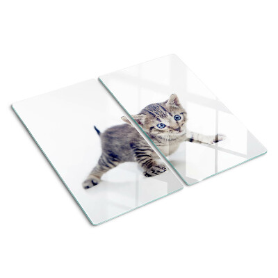 Tábua para cozinha Gatinho com olhos azuis