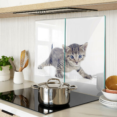 Tábua para cozinha Gatinho com olhos azuis