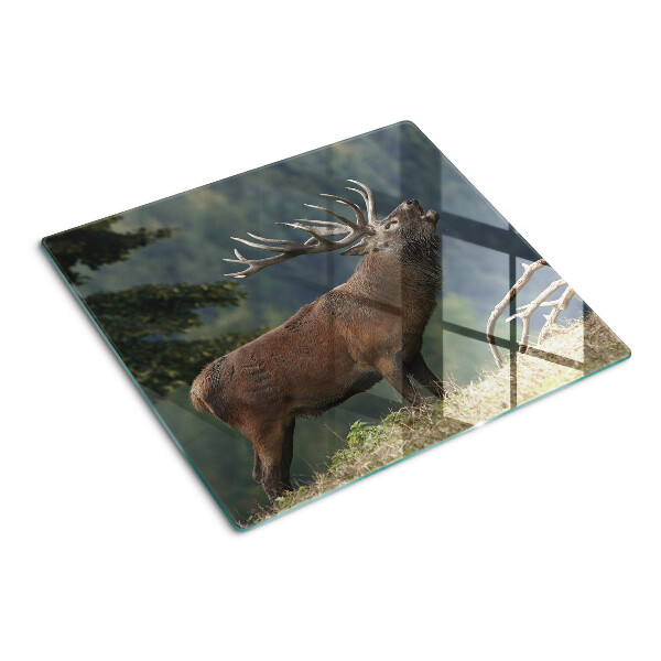 Tábua para corte Veado em seu habitat natural