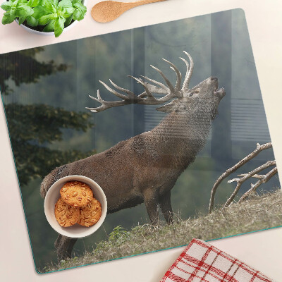Tábua para corte Veado em seu habitat natural