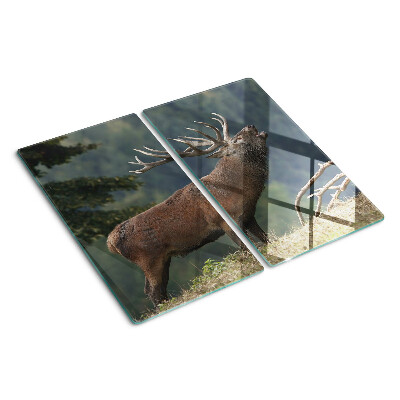 Tábua para corte Veado em seu habitat natural