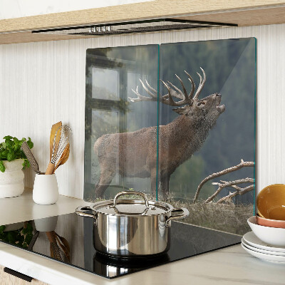 Tábua para corte Veado em seu habitat natural