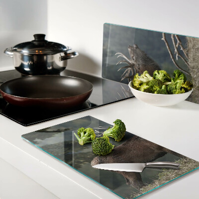 Tábua para corte Veado em seu habitat natural