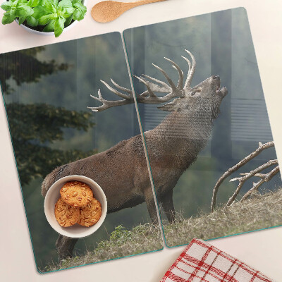 Tábua para corte Veado em seu habitat natural