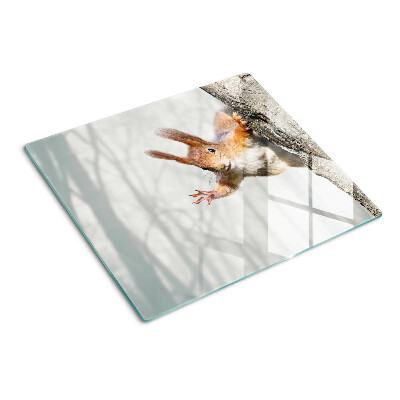 Tábua para cozinha Esquilo em um galho