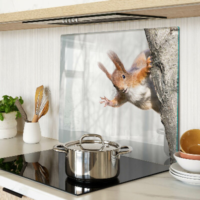 Tábua para cozinha Esquilo em um galho