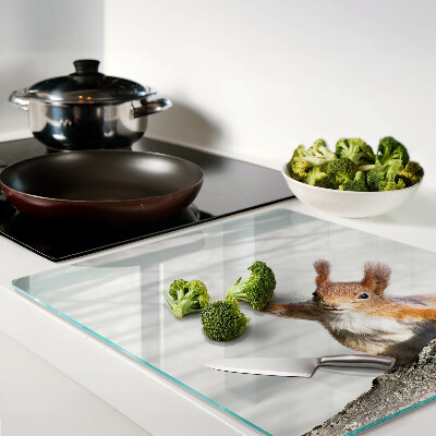 Tábua para cozinha Esquilo em um galho