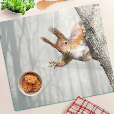Tábua para cozinha Esquilo em um galho
