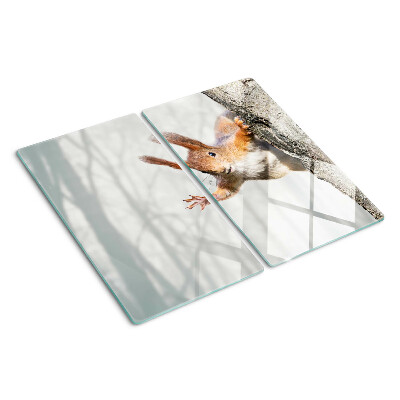 Tábua para cozinha Esquilo em um galho