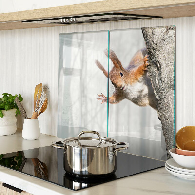 Tábua para cozinha Esquilo em um galho