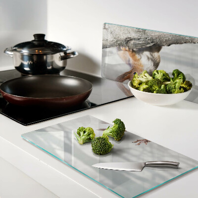 Tábua para cozinha Esquilo em um galho