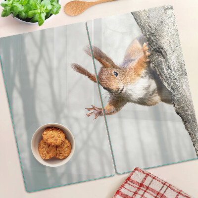 Tábua para cozinha Esquilo em um galho
