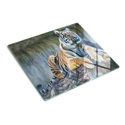 Tábua para corte Tigre no tronco de uma árvore