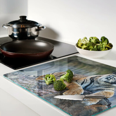 Tábua para corte Tigre no tronco de uma árvore