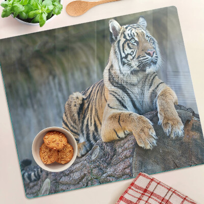 Tábua para corte Tigre no tronco de uma árvore