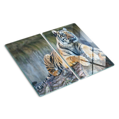 Tábua para corte Tigre no tronco de uma árvore