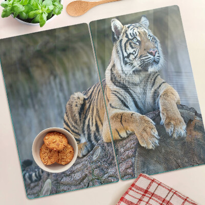 Tábua para corte Tigre no tronco de uma árvore