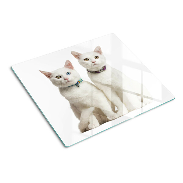 Tábua para cozinha Gatos brancos com olhos de cores diferentes