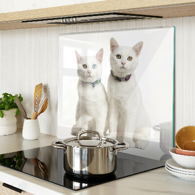 Tábua para cozinha Gatos brancos com olhos de cores diferentes