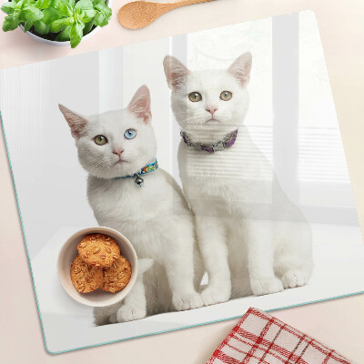 Tábua para cozinha Gatos brancos com olhos de cores diferentes