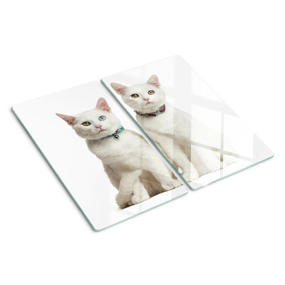 Tábua para cozinha Gatos brancos com olhos de cores diferentes