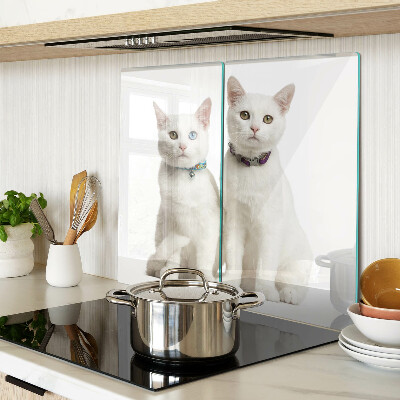 Tábua para cozinha Gatos brancos com olhos de cores diferentes
