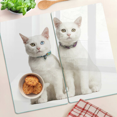 Tábua para cozinha Gatos brancos com olhos de cores diferentes