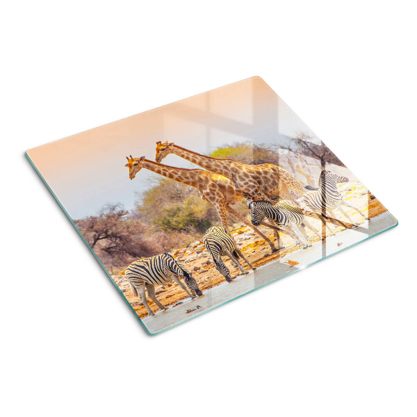 Tábua para corte Zebra e girafa em seu habitat natural