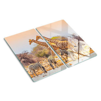 Tábua para corte Zebra e girafa em seu habitat natural