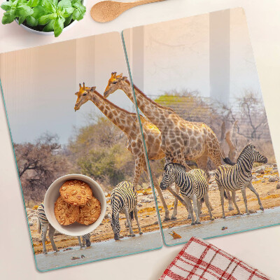 Tábua para corte Zebra e girafa em seu habitat natural