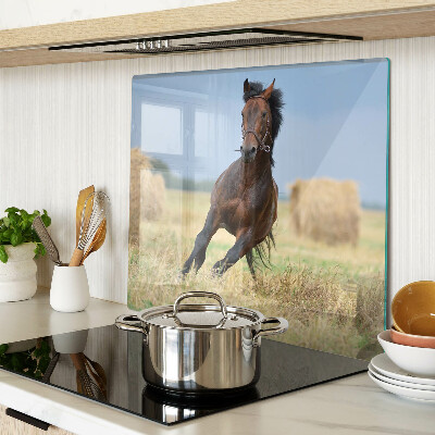 Tábua para cozinha Um cavalo no prado