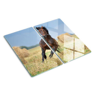 Tábua para cozinha Um cavalo no prado