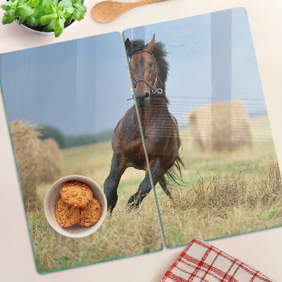 Tábua para cozinha Um cavalo no prado