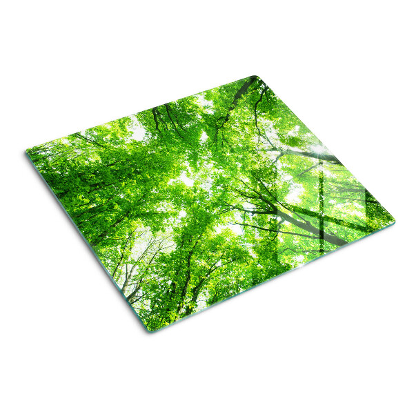 Tábua para corte Florestas e árvores verdes